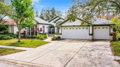 Main picture of 10206 Shadow Branch Dr