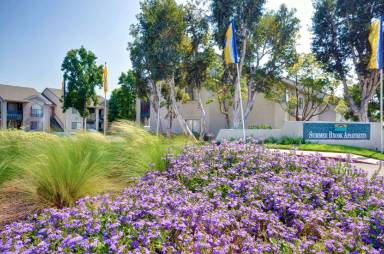 Main picture of Summer Brook Apartments
