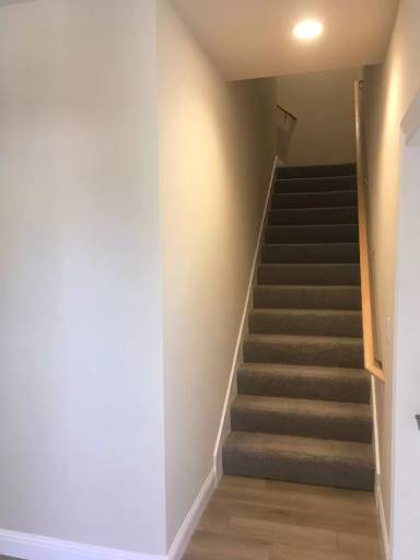 Main picture of 895 Congaree Ln