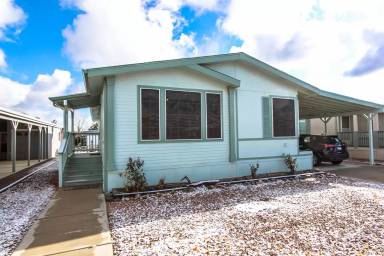 Main picture of 615 N Mesquite Tree Dr