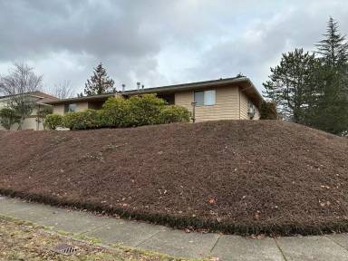 Main picture of 1429 Pacific Pl