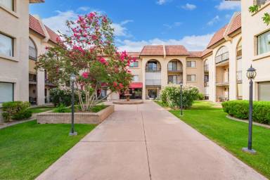 Main picture of Olive Grove Village