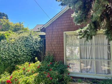 Main picture of 1218 Shattuck Ave