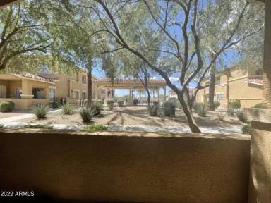Main picture of Scottsdale Casitas