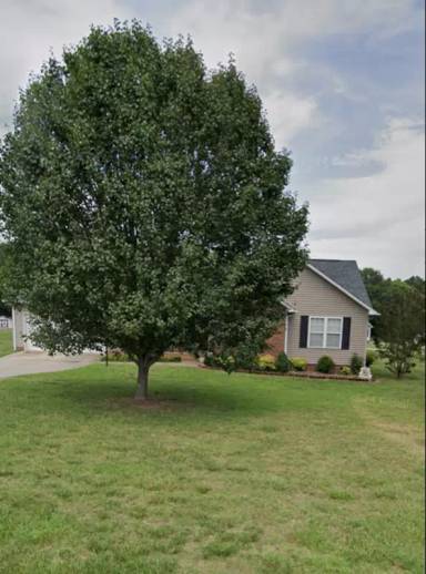 Main picture of 2011 Taylor Rd
