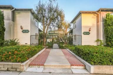 Main picture of Olive Tree Lane Apartments