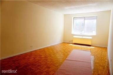 Main picture of 345 E 64th St