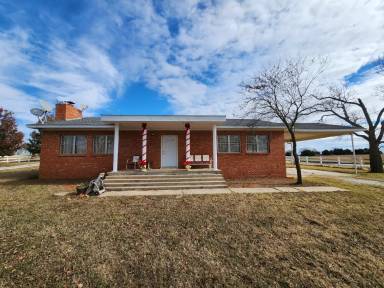 Main picture of 11754 County Road 3450
