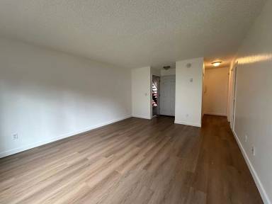 Main picture of The Forest Apartments
