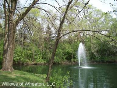 Main picture of Willows of Wheaton