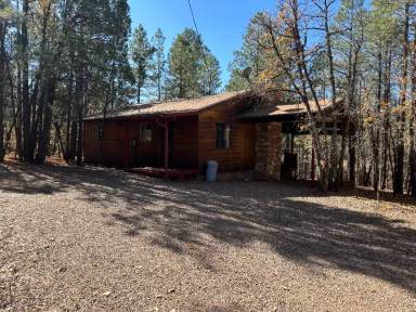 Main picture of 237 E White Mtn Blvd