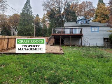 Main picture of 13615 Forest Park Ln