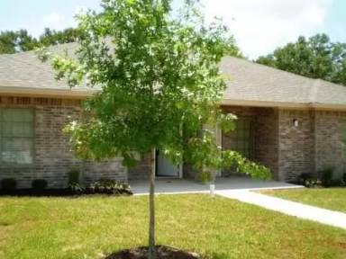 Main picture of 4452 Reveille Rd