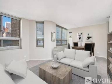 Main picture of 101 E Chicago Ave