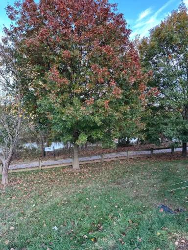 Main picture of 1002 Primrose St SE