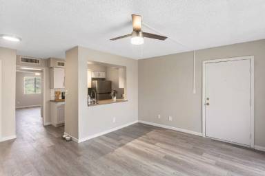 Main picture of Rise Thunderbird