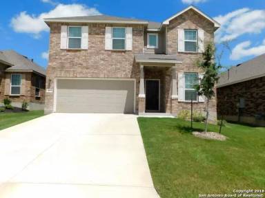 Main picture of 1422 Polydora