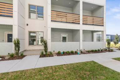 Main picture of 213 Canvasback Dr
