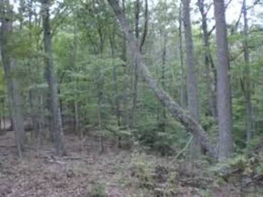 Main picture of 1 Woods Rd