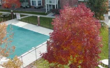 Main picture of 2430 W 82nd Pl