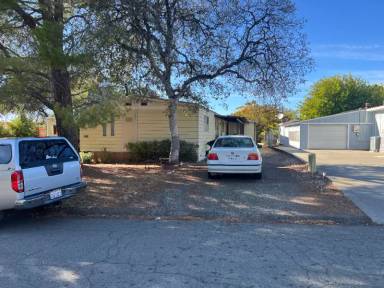 Main picture of 497 Silver Leaf Dr