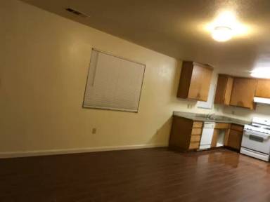 Main picture of washington and pine