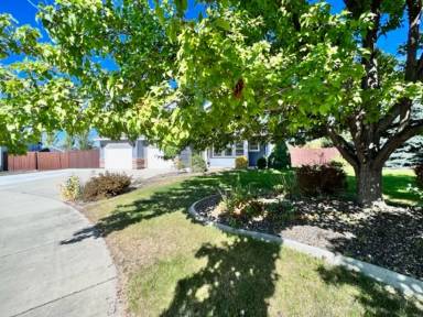 Main picture of 3134 N Blue Springs Ave