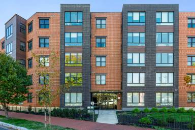 Main picture of The Lotus Apartments