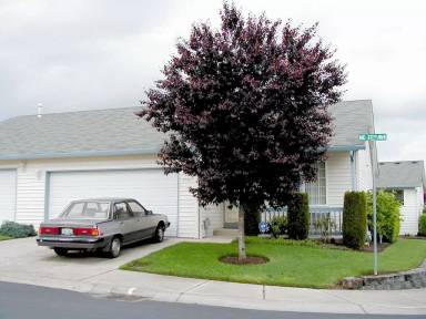 Main picture of 2301 NE 77th Ave