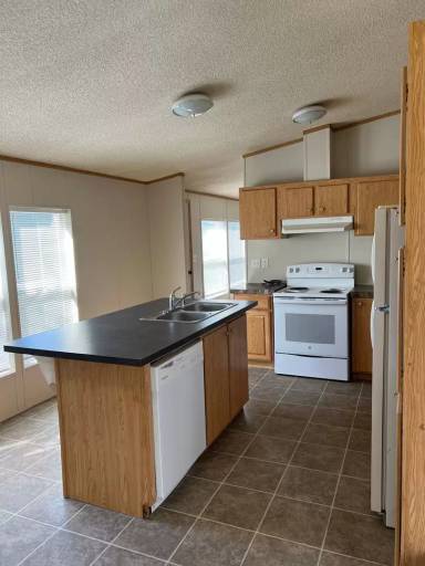 Main picture of 217 Silver Maple Dr