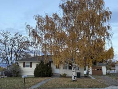 Main picture of 307 Geddis St