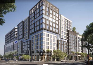 Main picture of The Dorsey