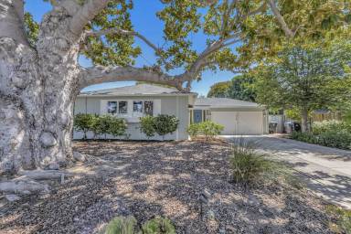 Main picture of 517 Vincent Dr