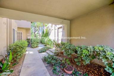 Main picture of 26493 Portola