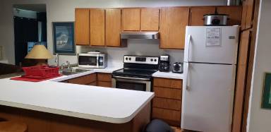 Main picture of 102 Salt Lick Cir