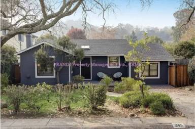 Main picture of 245 Solano St