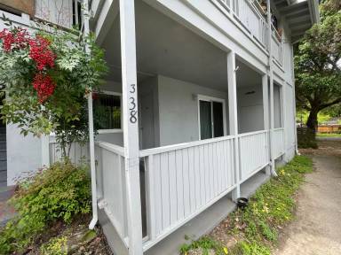 Main picture of 336 Pitt Ave