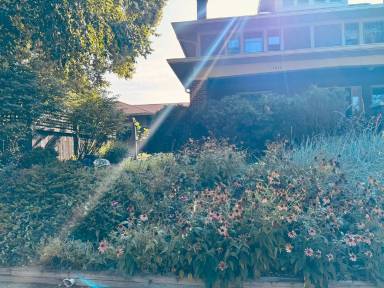 Main picture of 1011 S 9th St