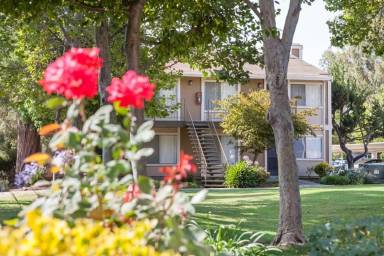 Main picture of 260 Berry Ct