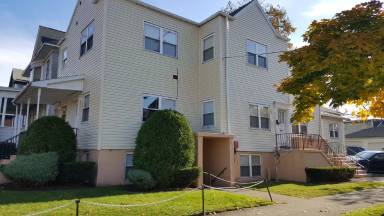 Main picture of 263 W 8th St and 801-803 Myrtle St Apartments