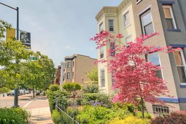 Main picture of 1920 15th St NW