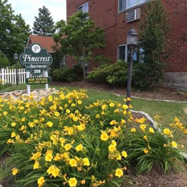 Main picture of 288 Pine St