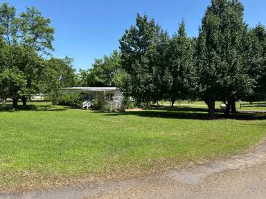 Main picture of 70 Palm Rd