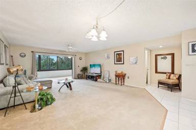 Main picture of 434 Palm Tree Dr
