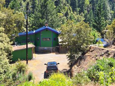 Main picture of 20250 Briceland Rd