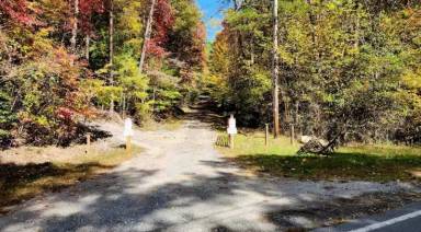 Main picture of 1441 Chestnut Gap Rd