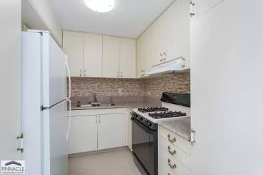 Main picture of 2465 Kuhio Ave