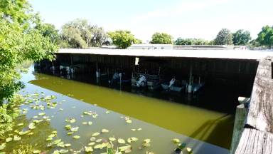 Main picture of 11641 Ocklawaha Dr