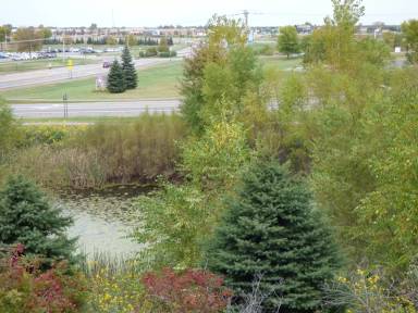 Main picture of 5784 Mount Curve Blvd