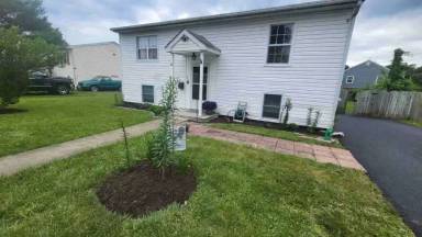 Main picture of 247 Locust Ln
